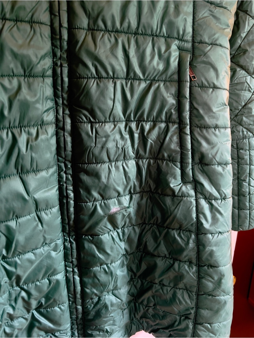 Patagonia Eelgrass Green Radalie Parka - Picture 5 of 9